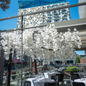 Lucarelli Restaurants - Traditional Italian Restaurant - Birmingham Mailbox