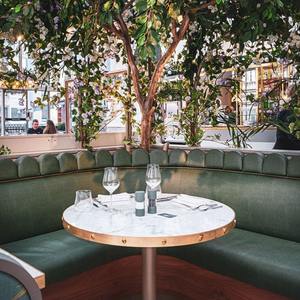 Lucarelli Restaurants - Traditional Italian Cuisine - London Knightsbridge