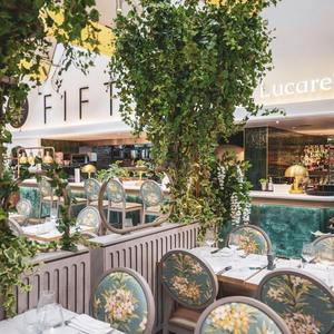 Lucarelli Restaurants - Traditional Italian Cuisine - London Knightsbridge