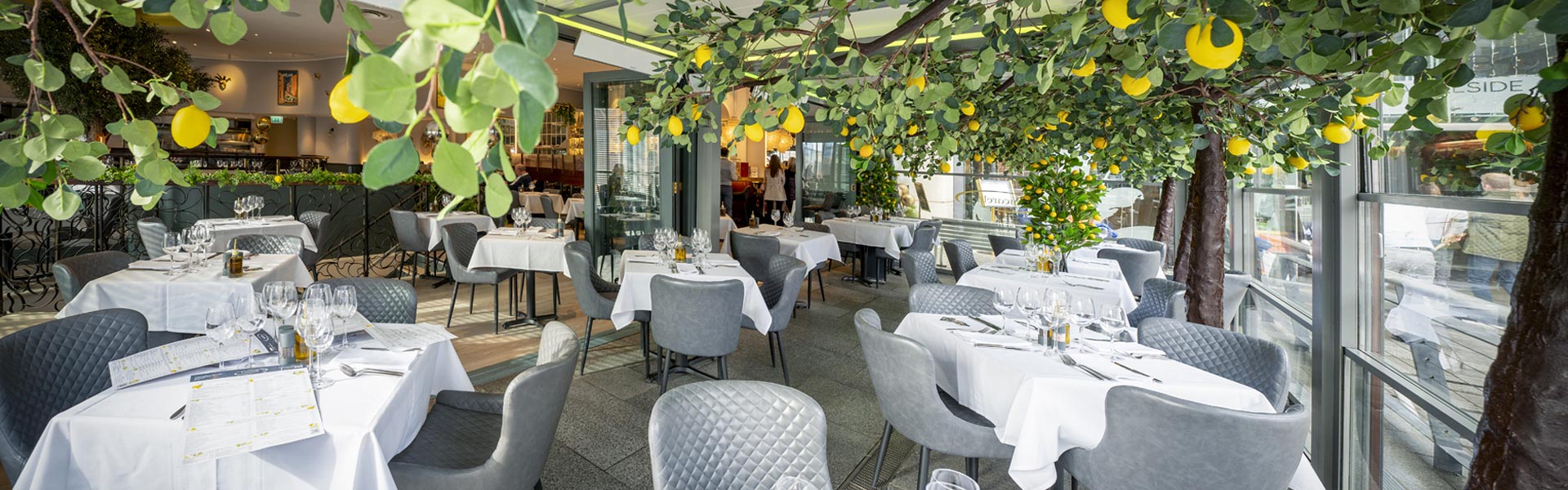Lucarelli Restaurant - Latest News
